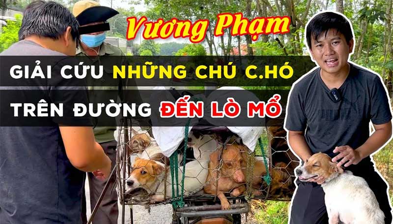 vuong pham