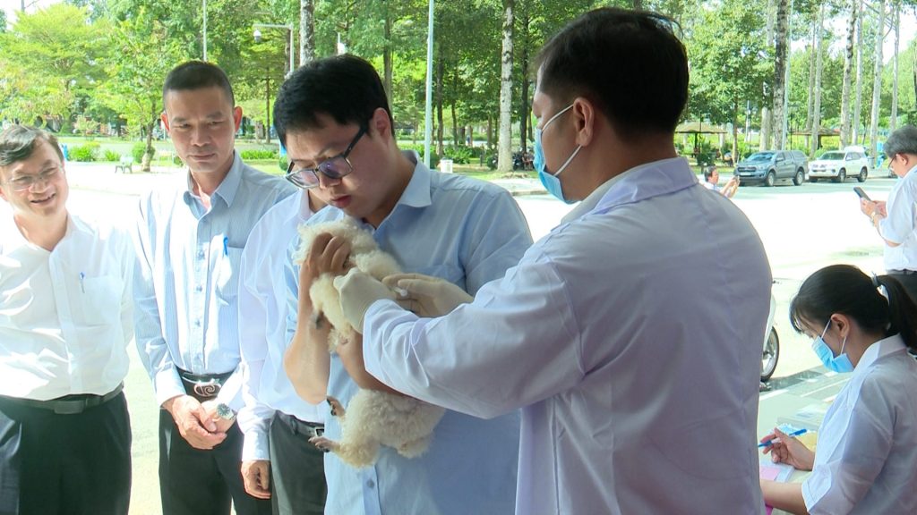 Tiêm vắc xin phòng dại miễn phí cho chó mèo