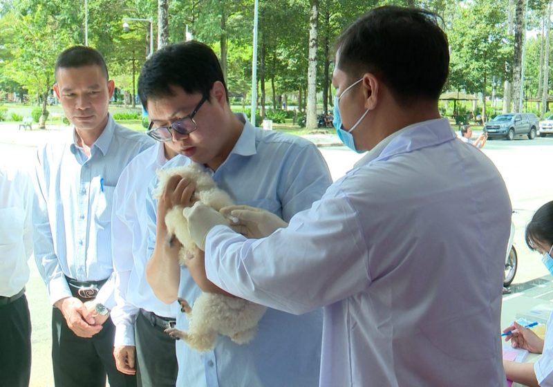 Tiêm vắc xin phòng dại miễn phí cho chó mèo
