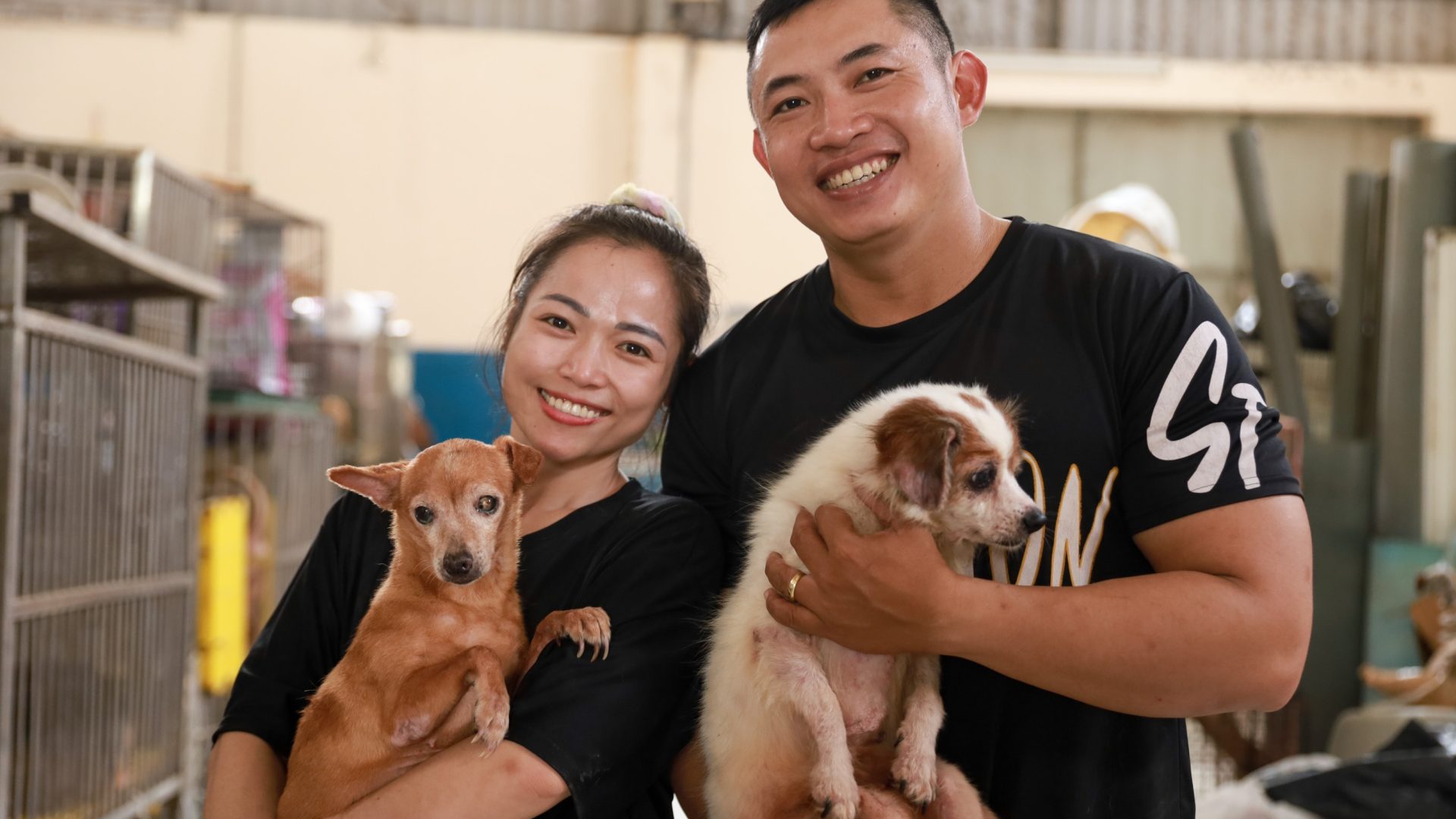 Người chăm sóc chó mèo