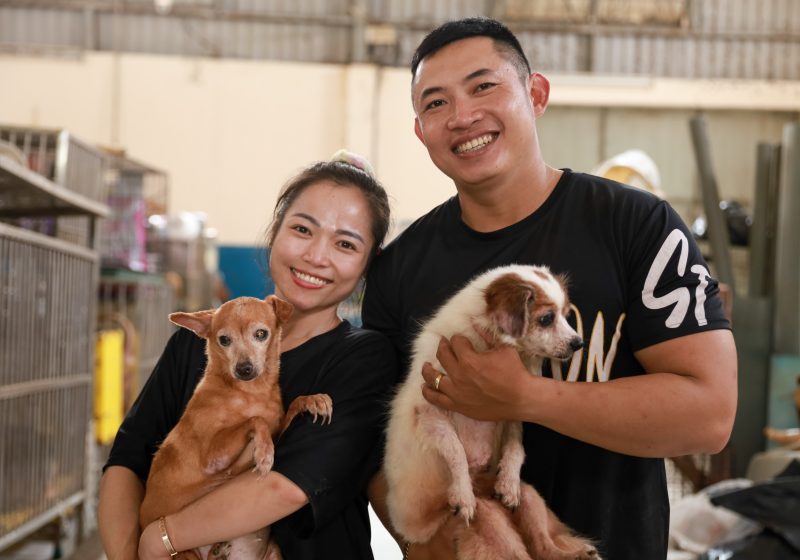 Người chăm sóc chó mèo