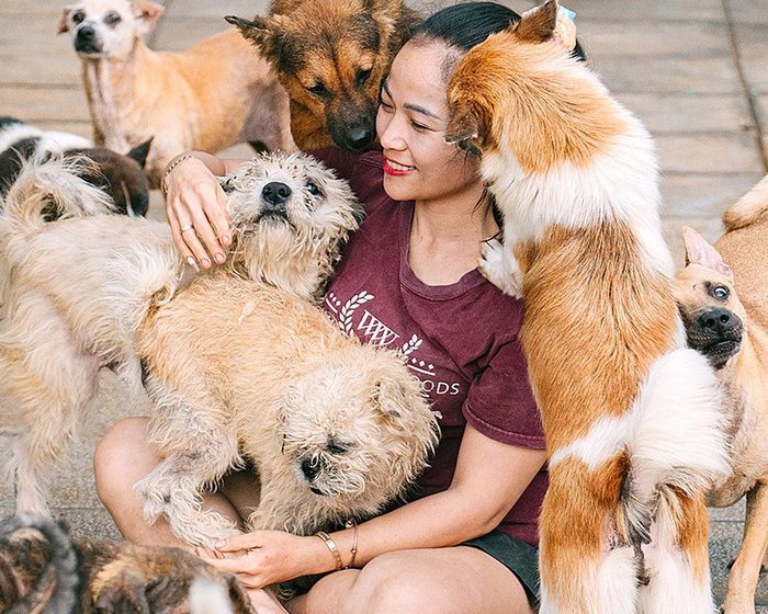 Cứu hộ và chăm sóc chó mèo