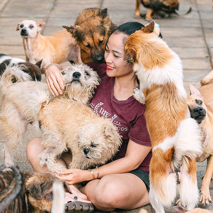 Cứu hộ và chăm sóc chó mèo