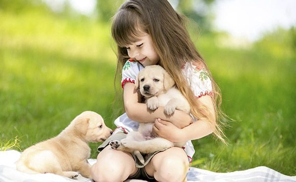Bé gái ôm chú chó con trên bãi cỏ